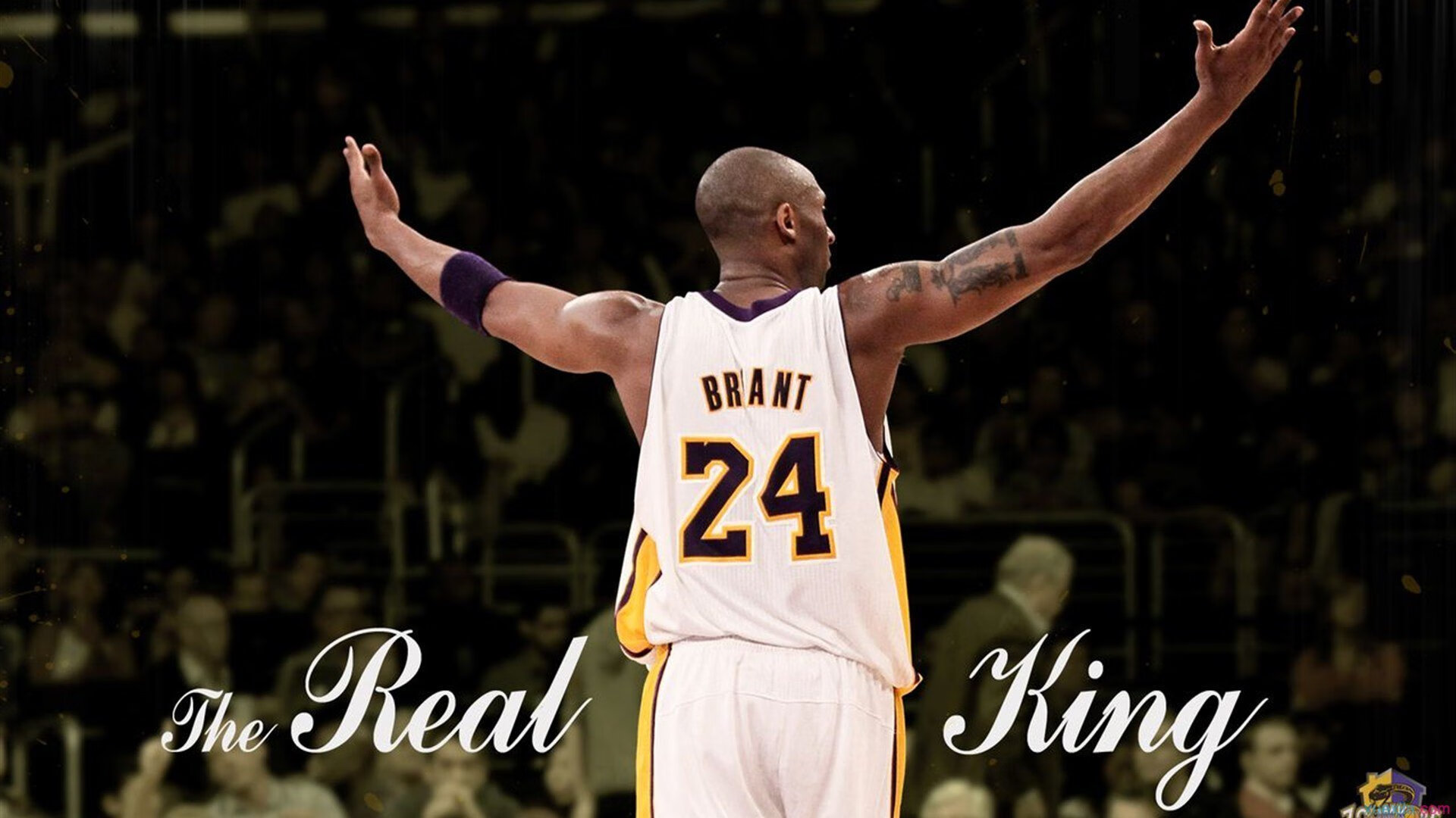 _奇才队士气振奋，追梦季后赛_，奇才队视频